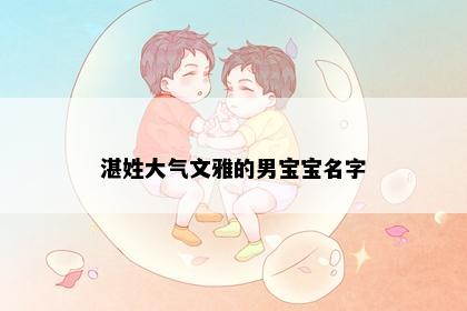 湛姓大气文雅的男宝宝名字
